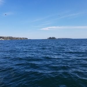 Meet your Posher, Reilly